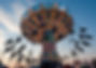 Lebanon_WilsonCo_WilsonCountyFair (1).jpeg
