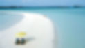 Sand Bar in the bahamas abaco