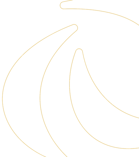 REG_website-BGs_2023.07.21Artboard-1.png