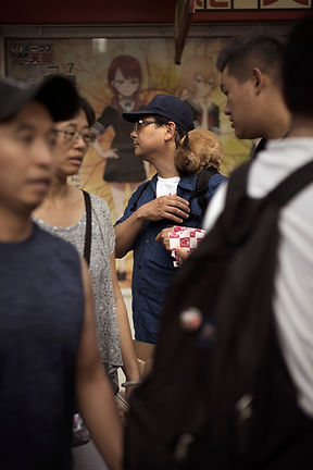 DSC08542 EDIT small.jpg