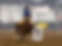 Shaner-Web-IMG_3088.jpg