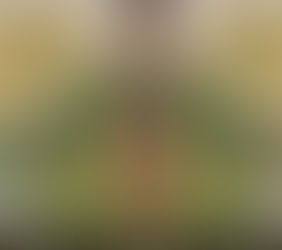 9/17 《富邦聽見天籟原聲》音樂會 台中教育大學寶成演藝廳 F278