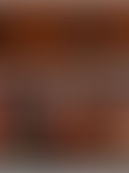 2/6 國家音樂廳 中華國樂團2021新年音樂會