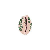 Untitled design (2)_edited.png