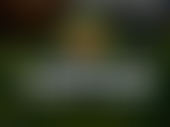 Qi4D from Taylormade - Is this the one?!