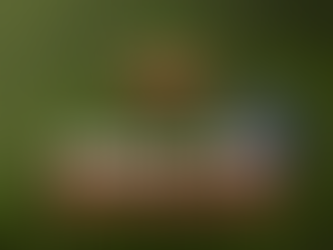 Who's winning the Masters?