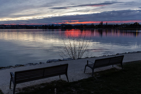 4M6A0749-2 - copie.jpg