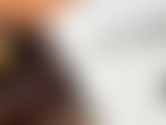 what is the current law on immigration