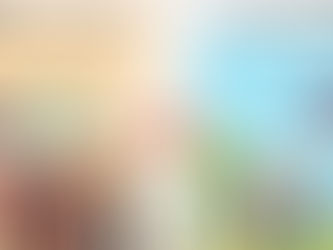 Naturalization vs Citizenship