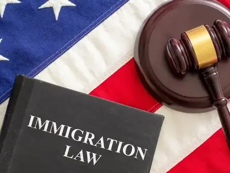 Immigration Laws You Must Know in 2024