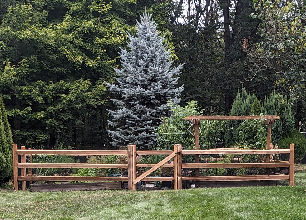4' Three Rail, Western Red Cedar Split Rail