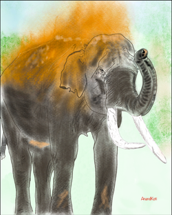 Elephant playing in mud