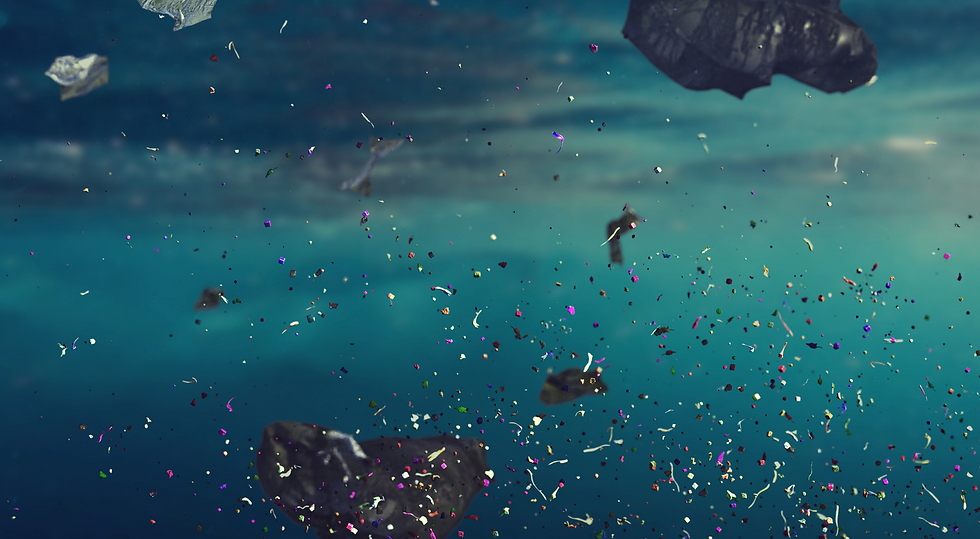 Microplastics.png