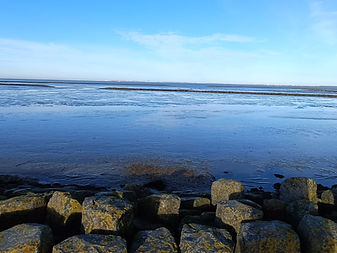 Das Wattenmeer