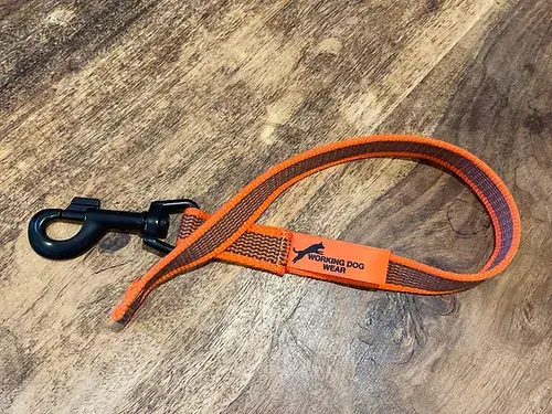 Gummierte Hundeleine Orange
