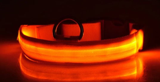 Miniatura: Nylon LED Pet Luminous Collar