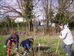 Jardinage dans la forêt nourricière