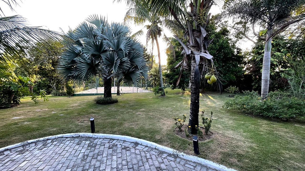 Miniatura: Lote em Porto Seguro / BA - Taperapuã