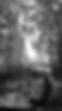 DDFEAEFB-26DB-40CA-AAA9-4DA2D0262720_edited.jpg