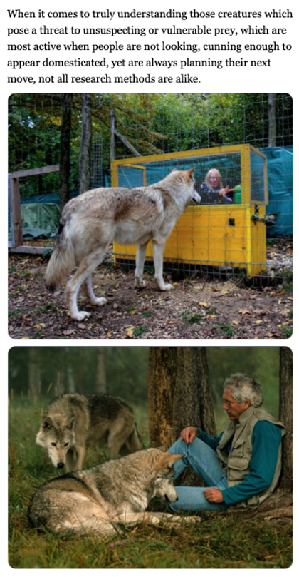 Screen Shot 2019-04-02 at 1.15.40 AM.png