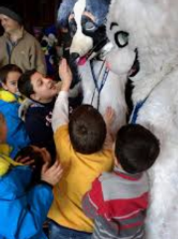 Screen Shot 2019-08-17 at 2.51.38 PM.png