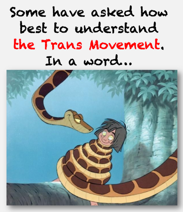 Screen Shot 2021-02-27 at 6.51.22 PM.png