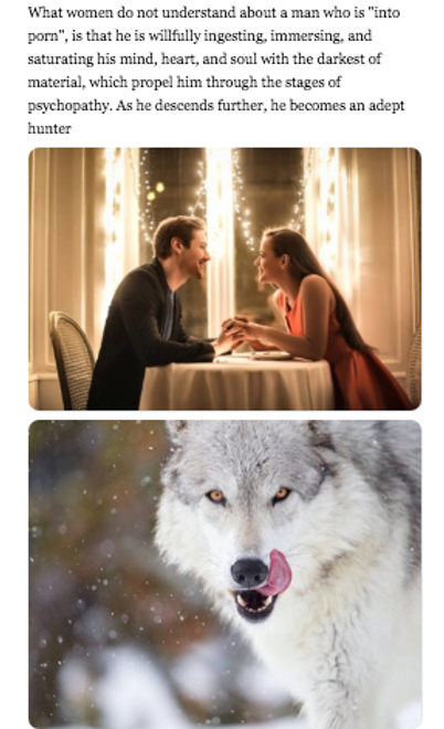 Screen Shot 2019-01-10 at 6.01.59 PM.png