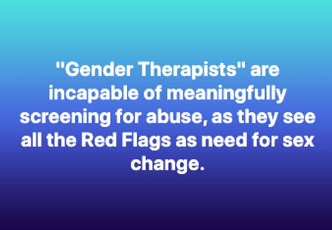 Screen Shot 2020-09-01 at 8.06.14 PM.png