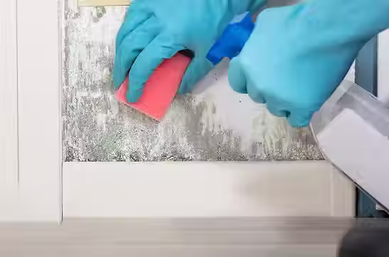 cleaning 2