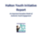 Halton Youth Initiative Report