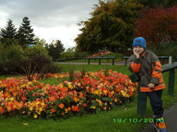 Осенняя пора! Очей очарование!