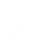 logos escala grises PJMesa de trabajo 1_4x.png