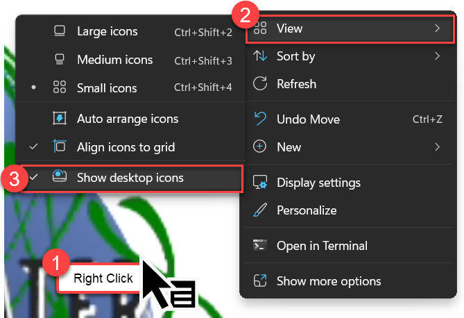 Screenshot of steps to Hide desktop icons