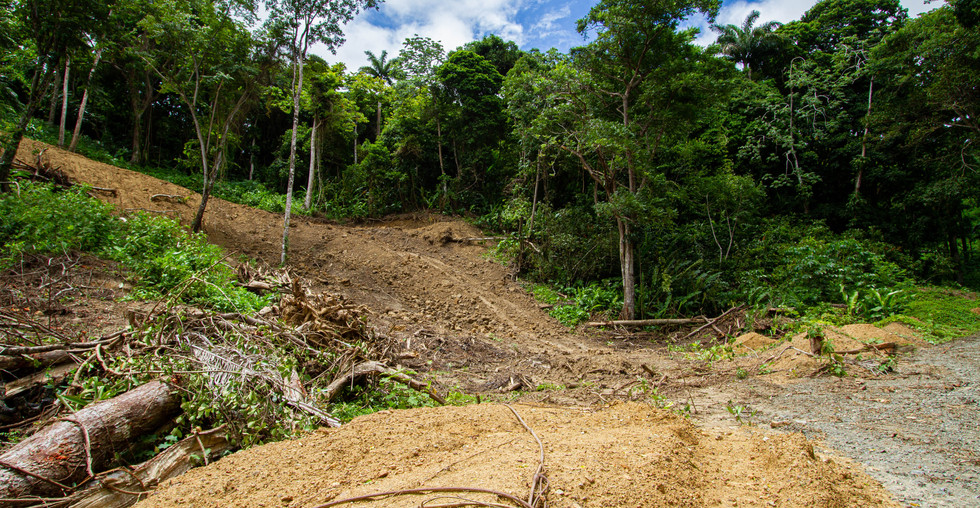 Belmont Road, Mason Hall Tobago