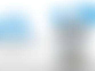 Are We Talking to Bots? How Fake Comments Are Shaping Local Online Conversations