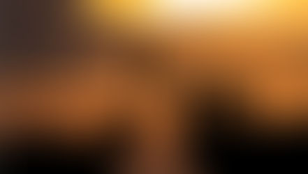 The Positive Pillars of a Pandemic