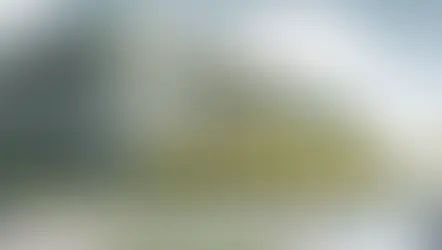 Sürdürülebilir Mimari Yeşil Cepheler