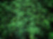 Marijuana DUI CBD OUI THC