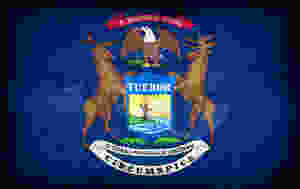 Michigan Flag