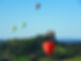 SDC10023.jpg