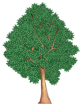 7.png