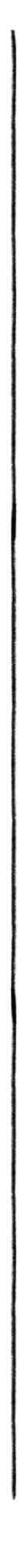 Diseño sin título-3_edited.png