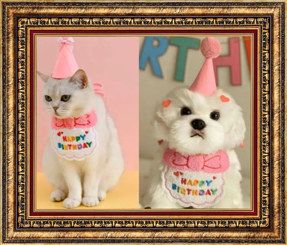 Conjunto de Cumpleaños