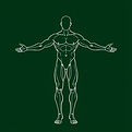 outline of muscular body from head to toes with arms stretched out with dark green backgro