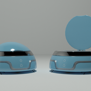 ZoomBot
