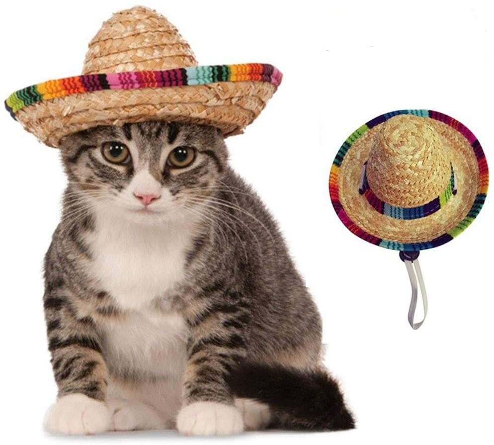 Sombrero tradicional para Mascota