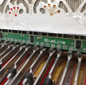 Blueline Midi Einbau