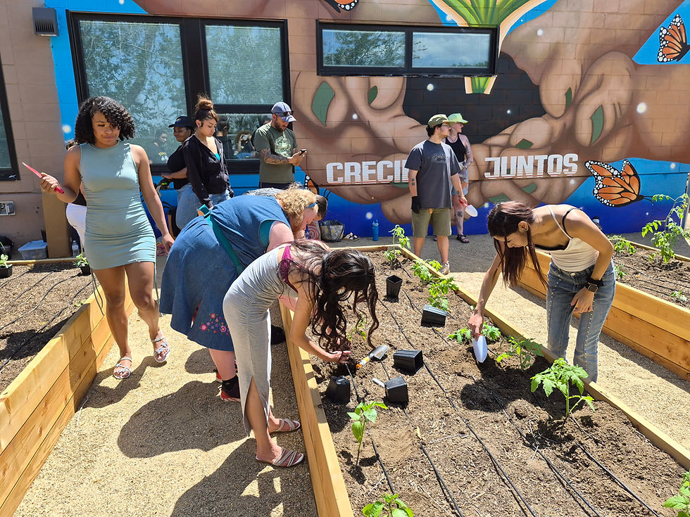 Growing Together: A Garden for Young Mothers and Children through the Florence Crittenton High School Community Garden Project