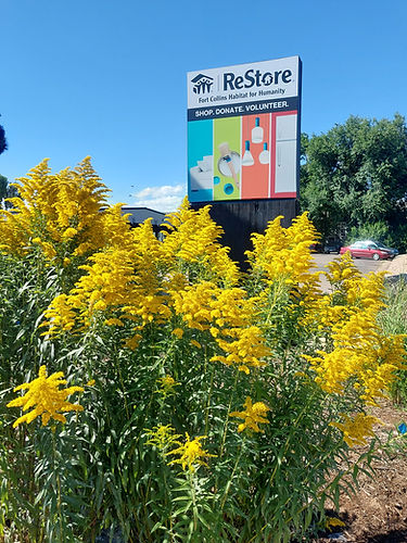 20230809_160656 (1).jpg