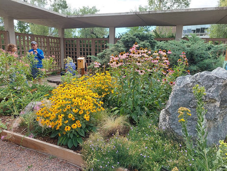Can You Really Design a Landscape Without Visiting My Property?